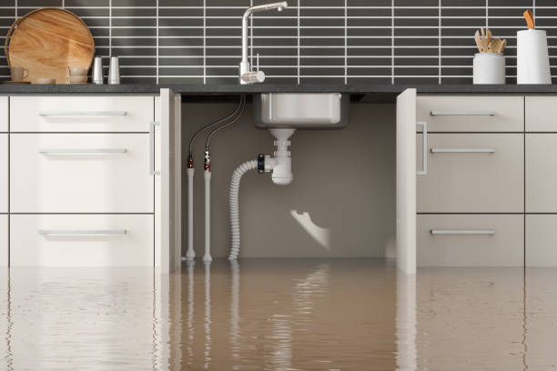 Trusted Trezevant, TN Water damage restoration Experts